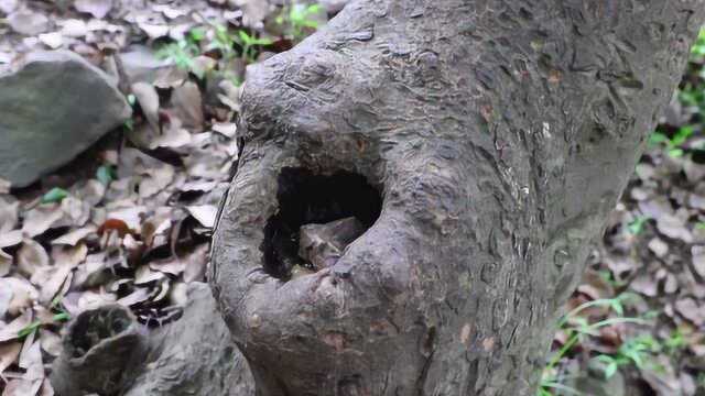 用镜头带你去“爬”无锡爬山人数最多的山——惠山