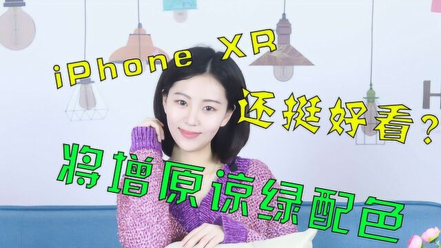 科技简讯:新款iPhone将增原谅绿基佬紫配色,还挺好看?