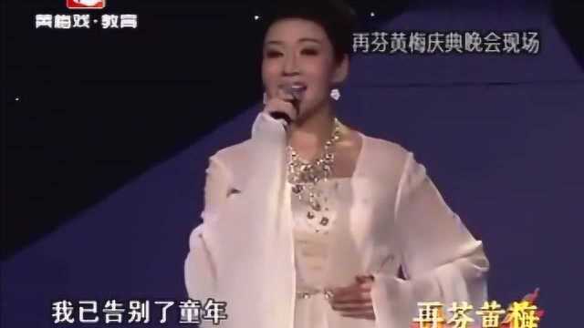 韩再芬带领黄梅名家,演唱黄梅歌《黄梅树》,太好听了