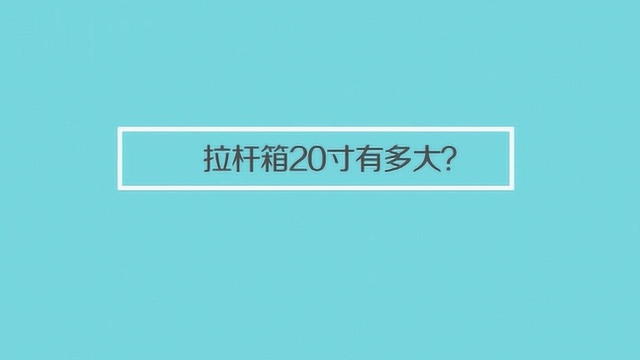 拉杆箱20寸的有多大