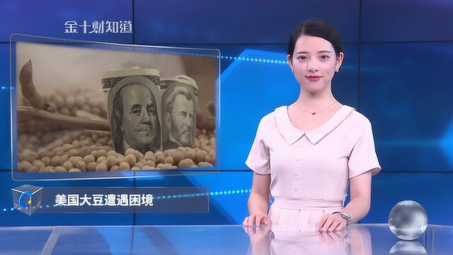 美国大豆库存超1亿吨,84个农场破产,美国补贴也于事无补!