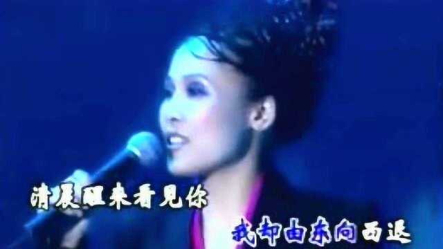 田震演唱会深情款款献唱《水姻缘》令人无法抗拒的嗓音,好听