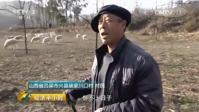 山西兴县铝厂排污黄河告急CCTV经济半小时