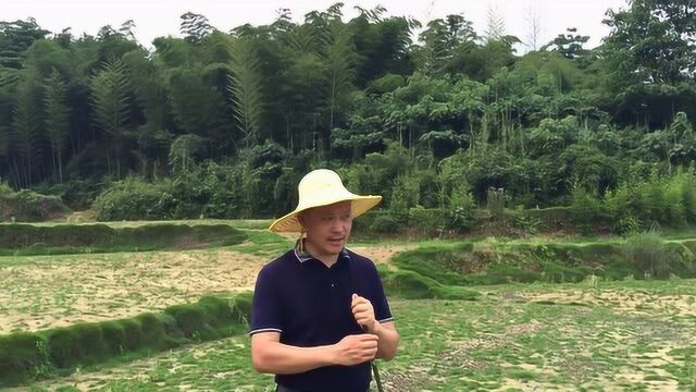 风水培训长乳穴风水大师王君植赴湖南郴州风水教学寻风水宝地视频