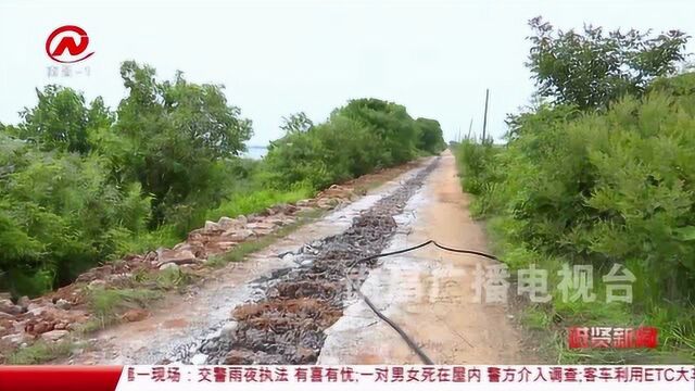 进贤新闻:防汛进行时:除险加固 打牢防汛根基