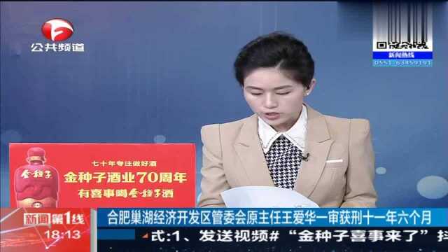 合肥巢湖经济开发区管委会原主任王爱华一审获刑十一年六个月