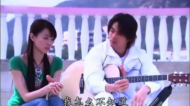 海豚表演很是精彩啊,夏天看到是不是很清新的感觉呢?