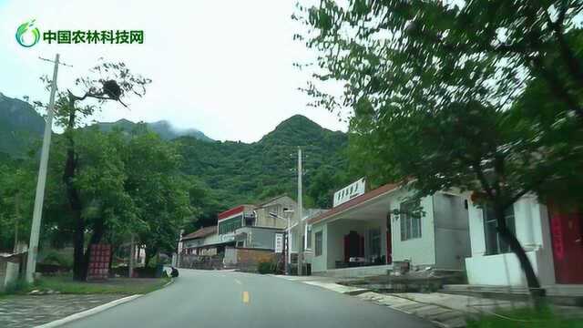 G210观音山到秦岭顶,步步登高看大美秦岭十里景不同