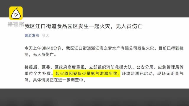 浙江一水产公司疑似氨气泄漏突发大火,滚滚黑烟遮天蔽日