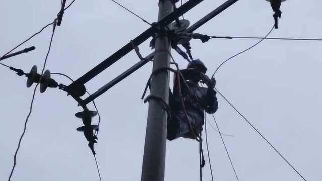 四川剑阁遭暴雨袭击:4千余户断电,电力人员冒雨抢修