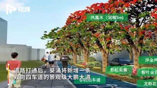 为深圳东部这条道路建设“腾地”!大鹏7500平方米违建开拆