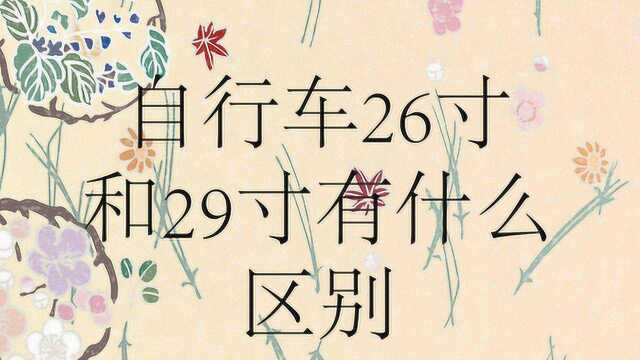 自行车26寸和29寸有什么区别