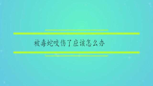 被毒蛇咬伤了应该怎么办