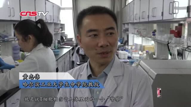 全球首次!哈工大教授发现免疫细胞重要受体结构