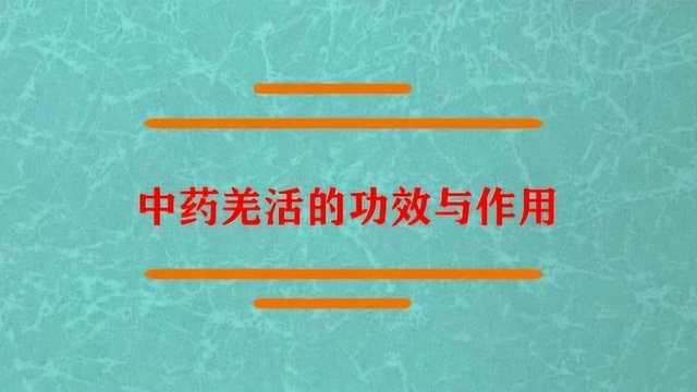 中药羌活的功效与作用有什么?