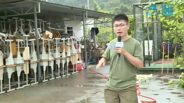 台风“利奇马”灾后20天 永嘉鹤盛镇中心小学正常开学