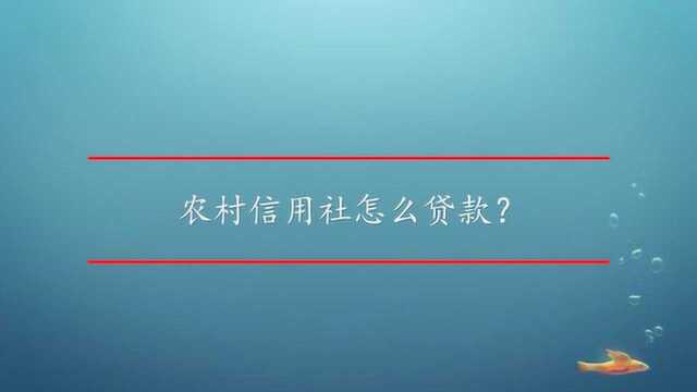 农村信用社怎么贷款?