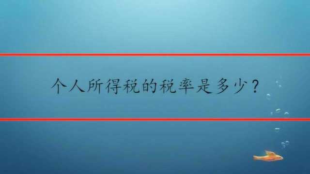 个人所得税的税率是多少?