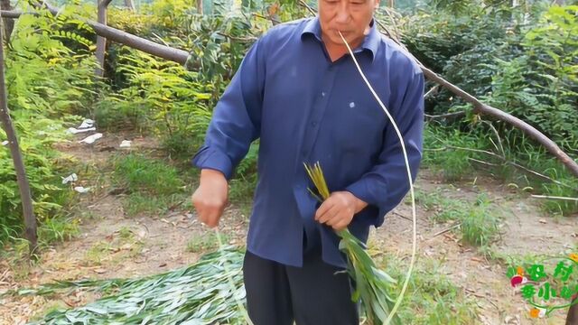 农村大叔河边砍柳条,做起手工艺,这传统手艺30年没见满满回忆