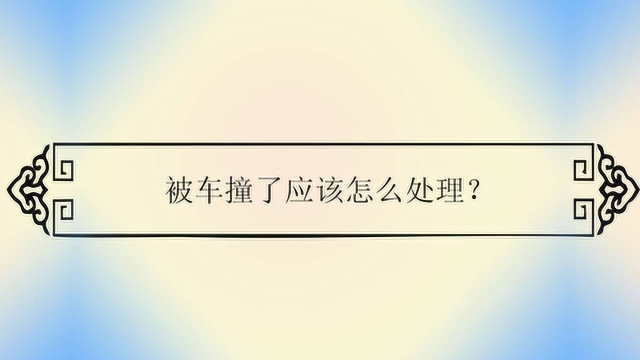 被车撞了应该怎么处理?