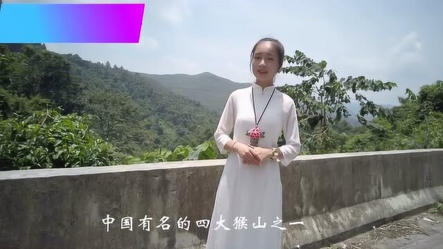 中国四大猴山之一,是顶级的风水宝地,广西隆安县龙虎山