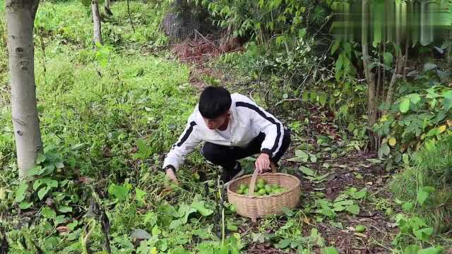 我喜欢这样的居山生活,守着这样的日子慢慢变老,你愿意吗