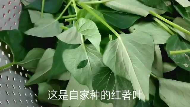 红著叶这样炒也很好吃,营养丰富,简单易学,一看就会