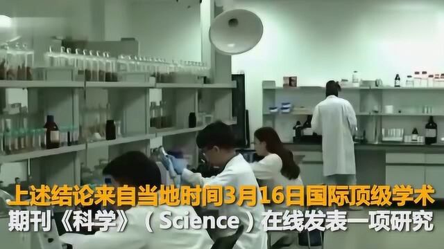 《科学》最新研究聚焦疫情之初 武汉封城前超八成新冠未确诊