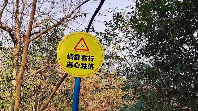 相山公园剪影.