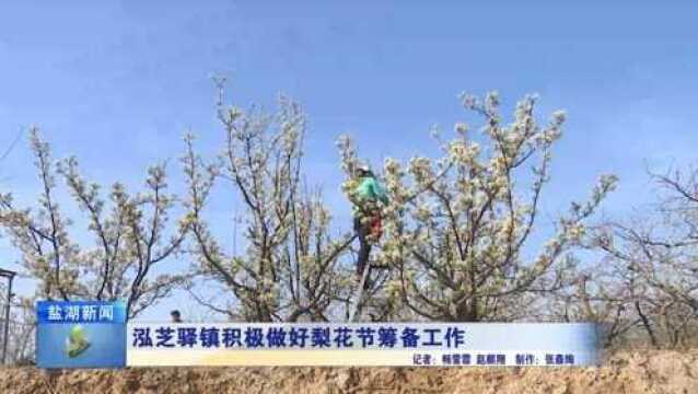 “花开盐湖”美丽乡村游暨泓芝驿梨花节将于3月下旬开幕