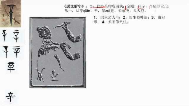 舒阳同学聊汉字94辛