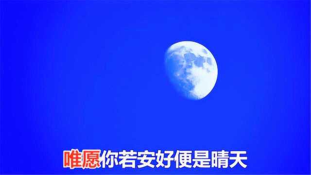 一首好听的情歌《今夜的月光》