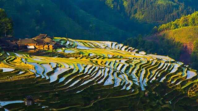 贵州黔东南加榜梯田你去过吗?逃离人海景点,最真诚的旅行攻略