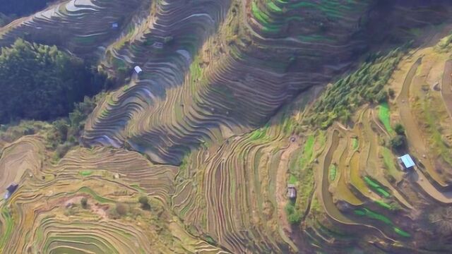 隐藏在贵州深山里的梯田,至今没开发旅游,却比知名梯田更好看