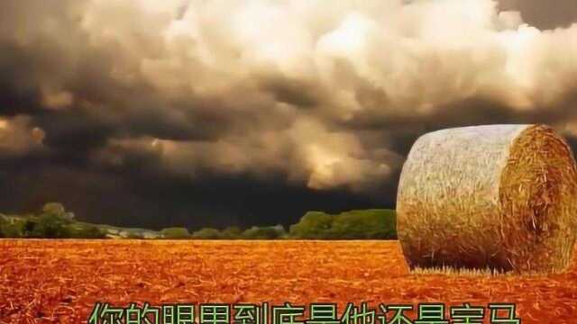 易欣一首歌曲《爱情神马价》,声线优美,娓娓动听