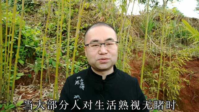 滋杨:坐拥4000万粉丝的李子柒,自媒体内容定位一:热爱田园生活