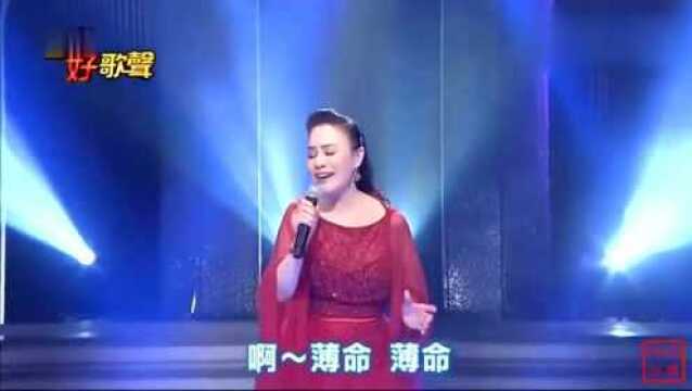 金佩姗闽南歌曲《南都夜曲》,经典港台情歌,现场演唱版