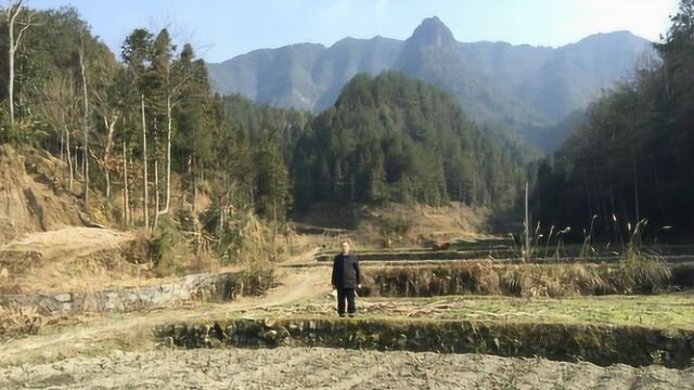 风水宝地倒水逆朝向上金带大案,王君植大师湖北风水培训实战杨公风水实拍