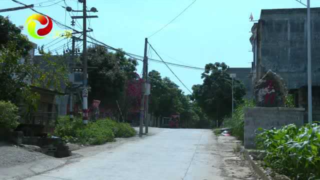 天等镇应村:建设美丽乡村 改善人居环境