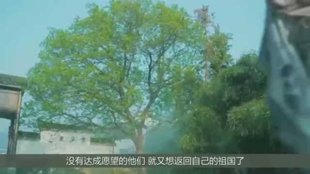 祖国不是避难所!拿不到绿卡想回国?中国海关断后路