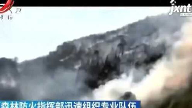 四川绵阳安州区山火得到初步控制