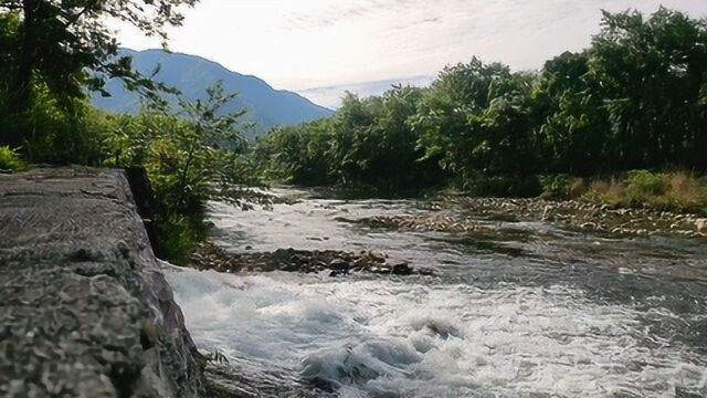 零陵六甲河村:天气好了煮酒采茶忙起来