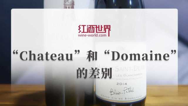 “Chateau”和“Domaine”的差别