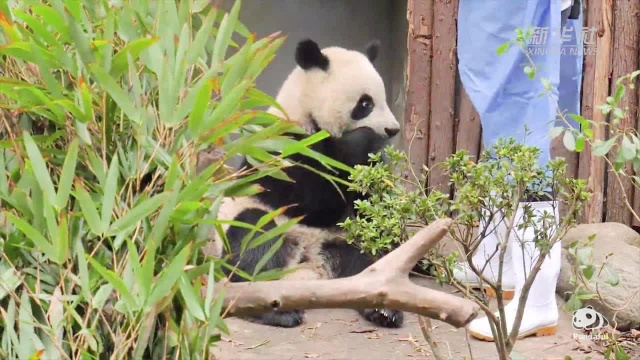 “饭来张口”是一种怎样的体验