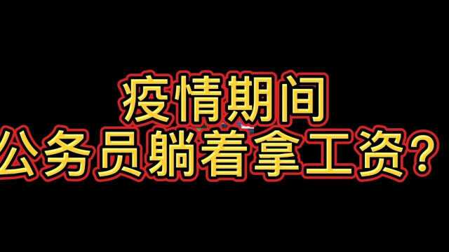 疫情期间公务员躺着拿工资?对不起!今天我要为他们说句公道话.