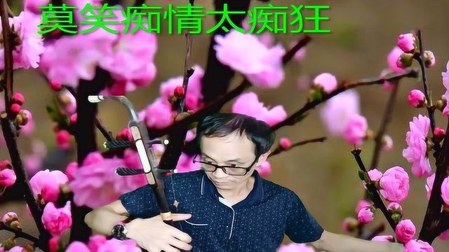 琼瑶电视剧《梅花三弄》,二胡独奏