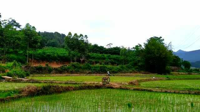 探寻广西贺州市钟山县龙道村古民居,进村路上的田园风光,美得让人陶醉!