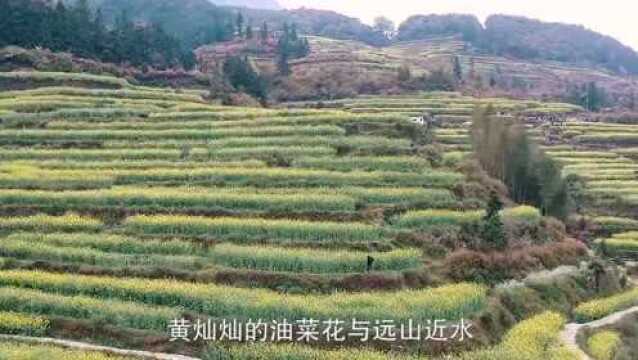 偷偷告诉你婺源游必去地