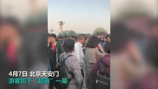 请让一下!拥挤的天安门城楼下,兵哥哥喊出超萌4字口号笑翻游客