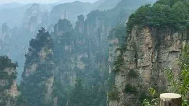 在景区看见的石林,真的太美丽了,看看这高山都是大自然的鬼斧神工!